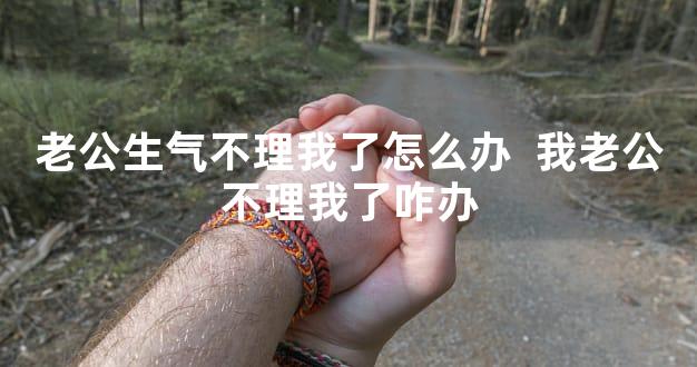 老公生气不理我了怎么办  我老公不理我了咋办